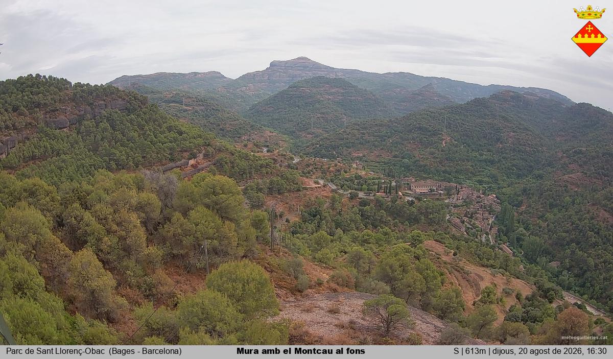 Mura amb el Montcau al fons