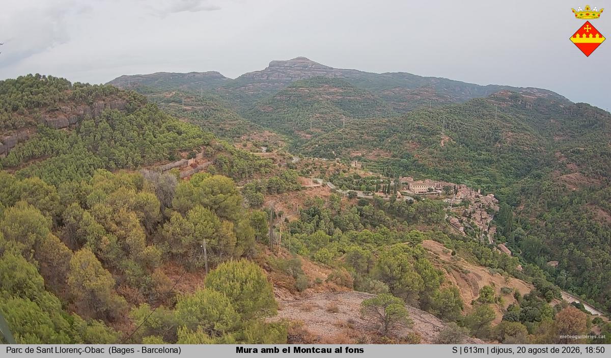 Mura amb el Montcau al fons
