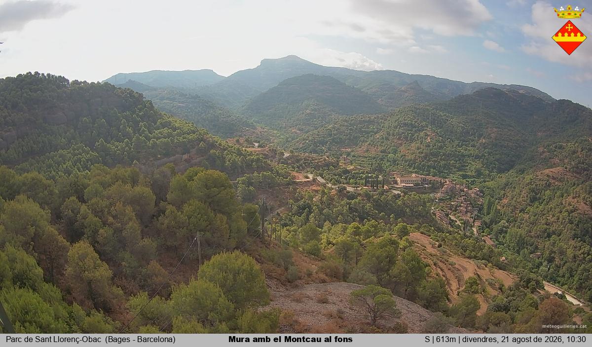 Mura amb el Montcau al fons
