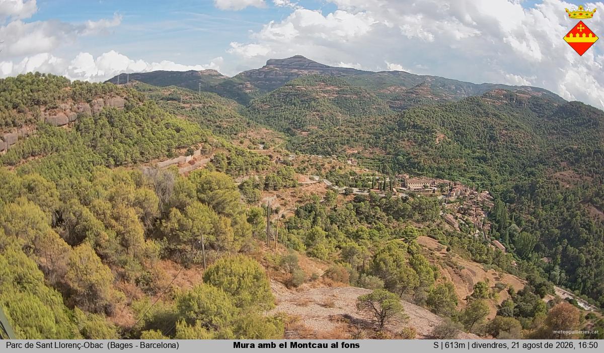 Mura amb el Montcau al fons