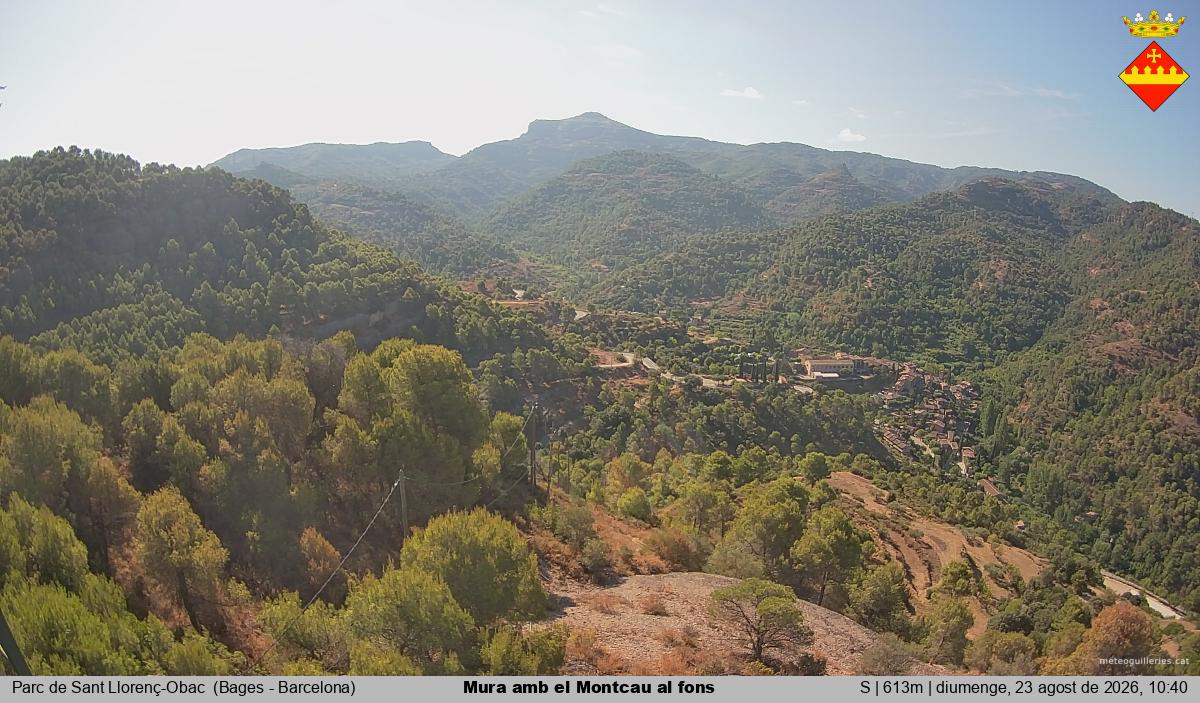 Mura amb el Montcau al fons