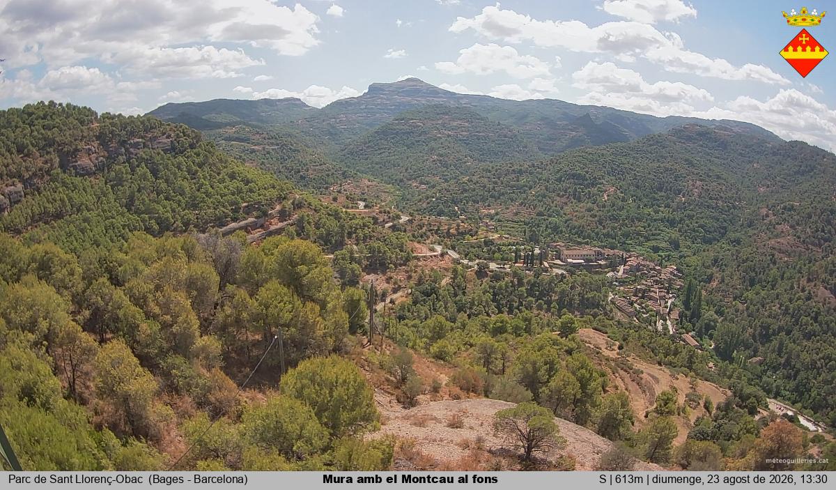 Mura amb el Montcau al fons