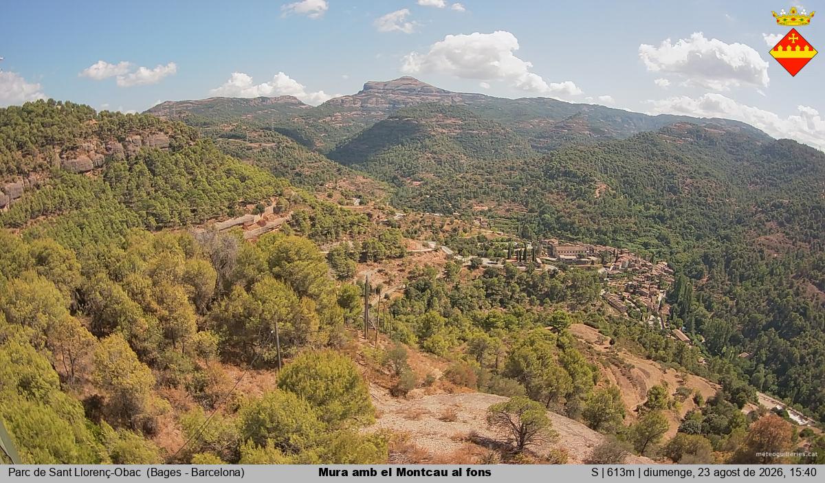 Mura amb el Montcau al fons