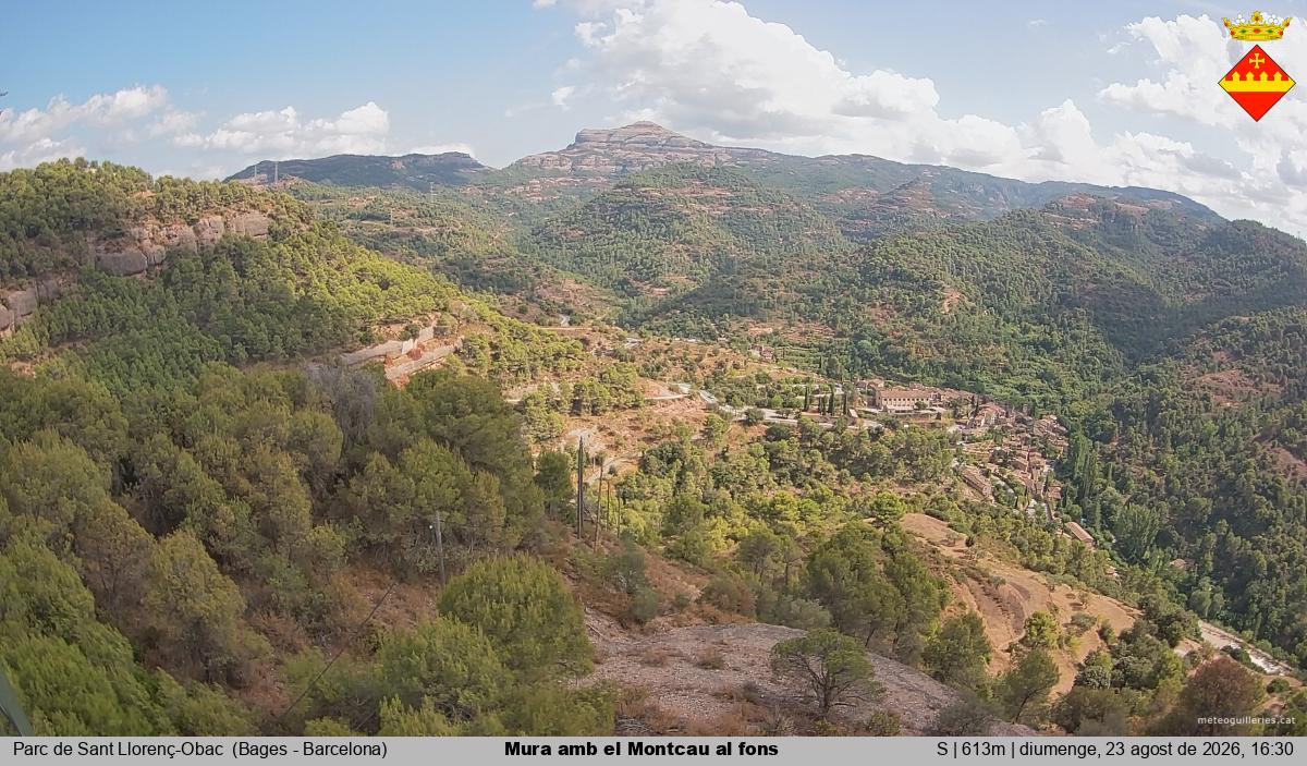 Mura amb el Montcau al fons