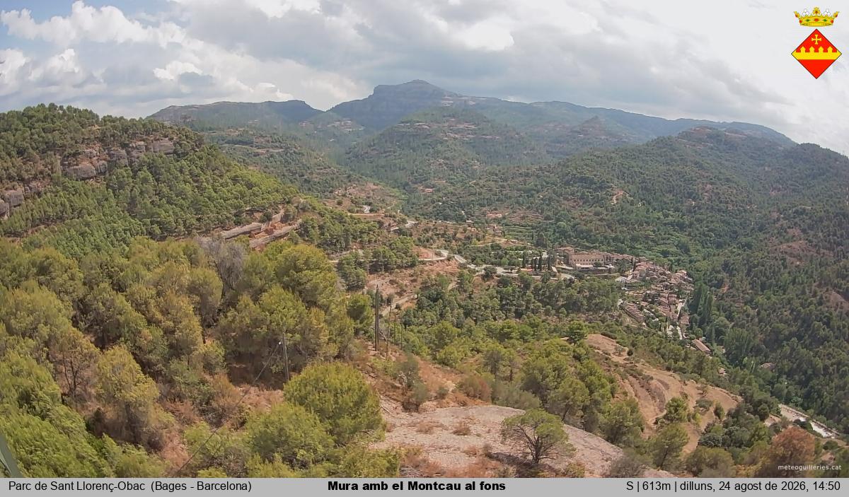 Mura amb el Montcau al fons