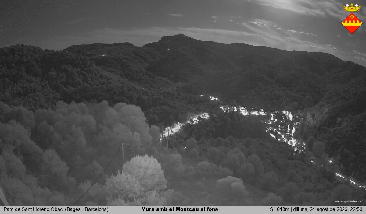 Mura amb el Montcau al fons