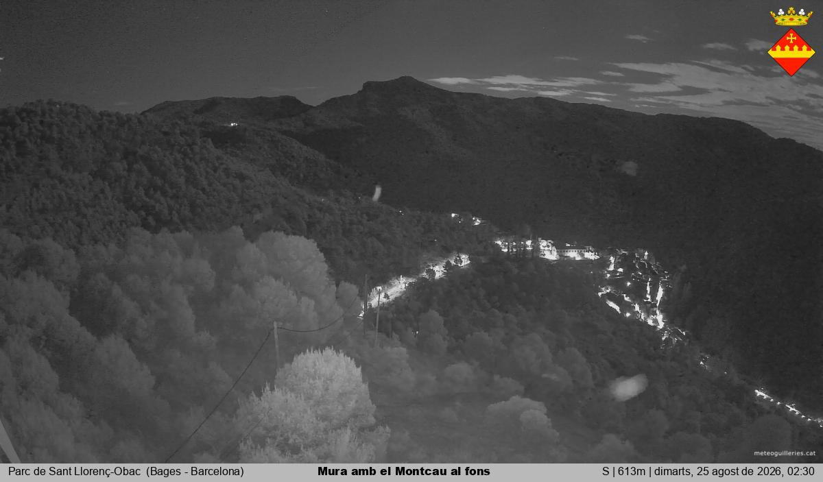 Mura amb el Montcau al fons