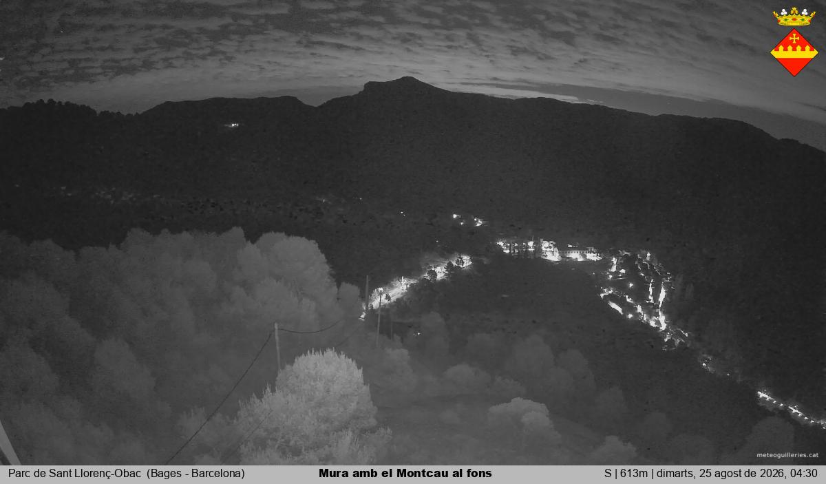 Mura amb el Montcau al fons