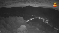 Webcams