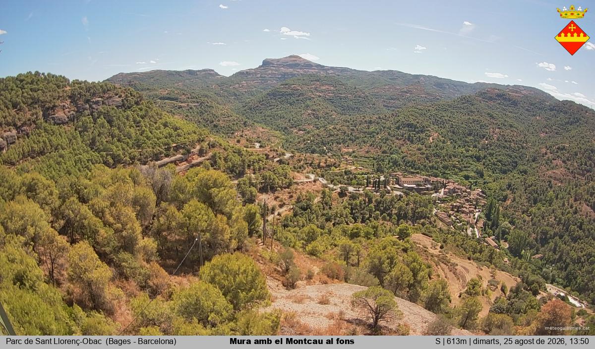 Mura amb el Montcau al fons