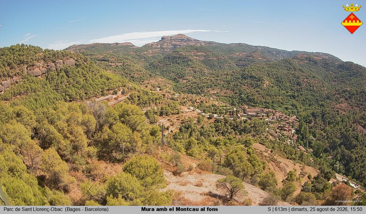 Mura amb el Montcau al fons