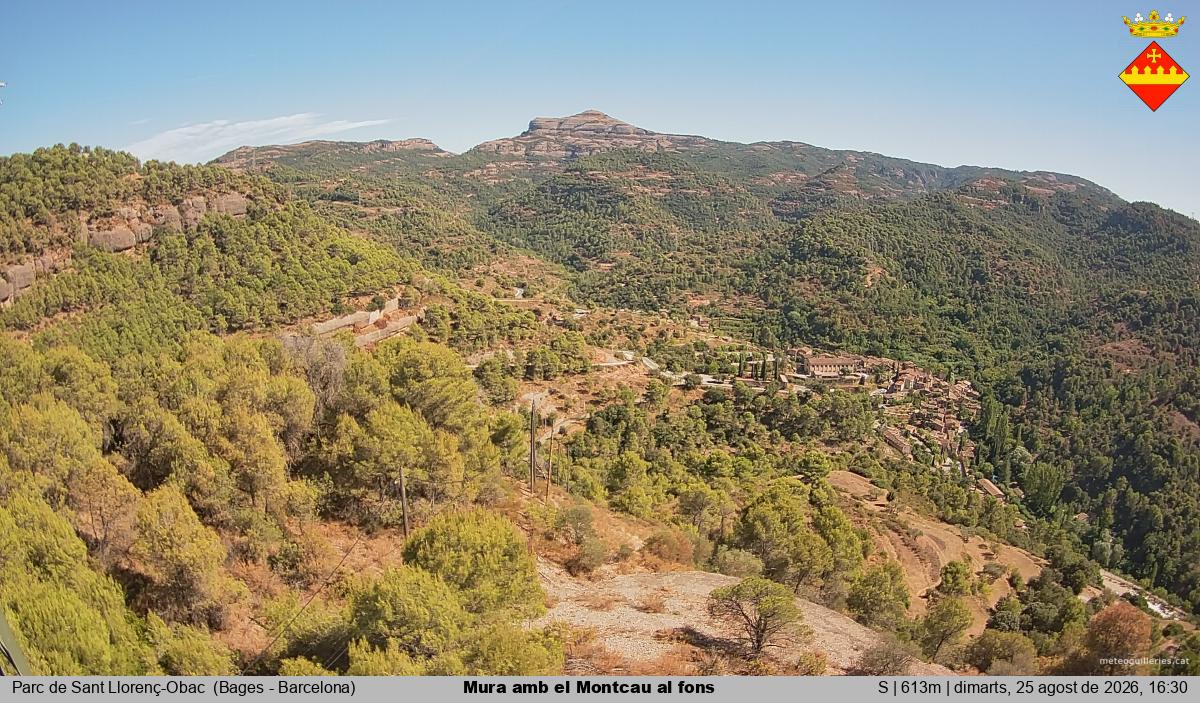 Mura amb el Montcau al fons