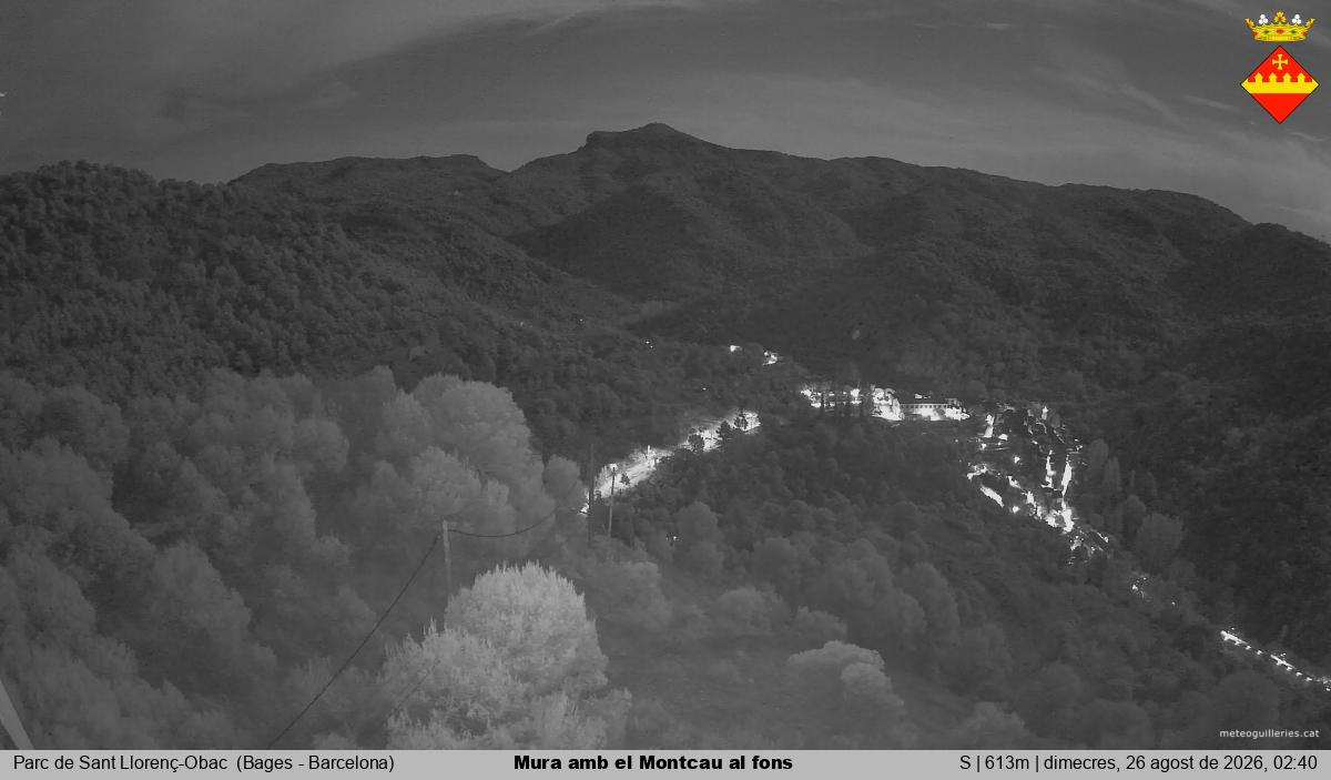 Mura amb el Montcau al fons