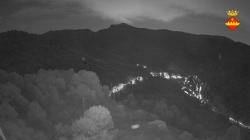 Webcams