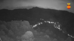Webcams