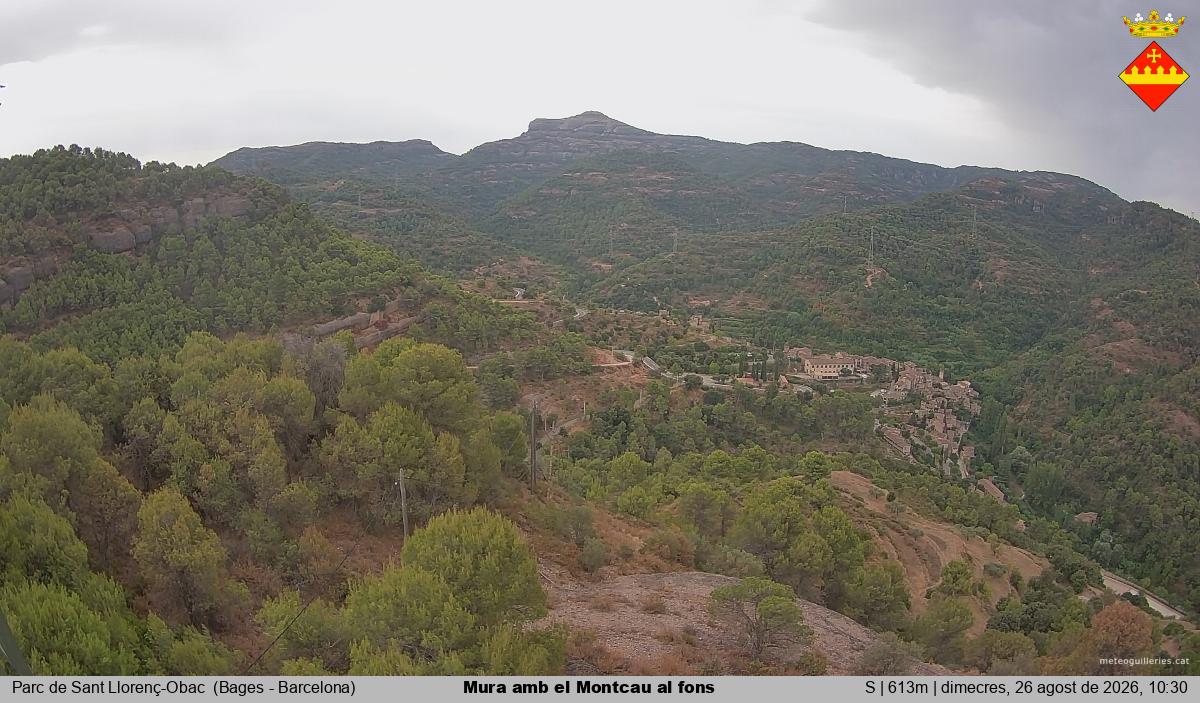 Mura amb el Montcau al fons