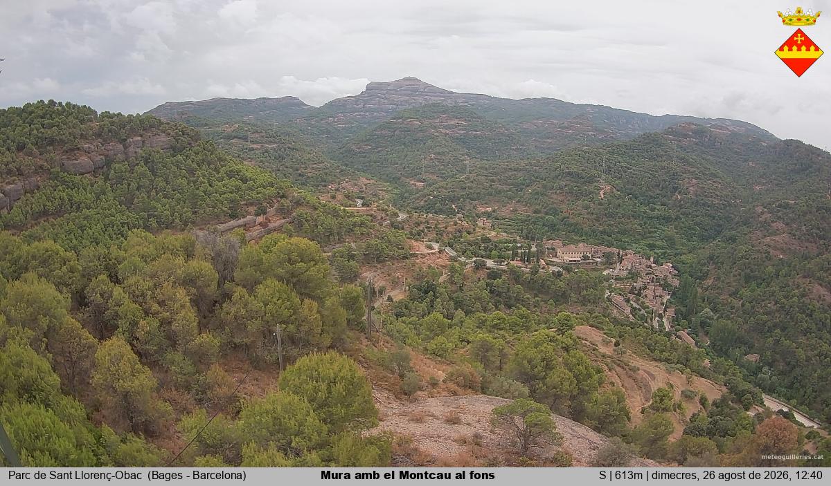 Mura amb el Montcau al fons