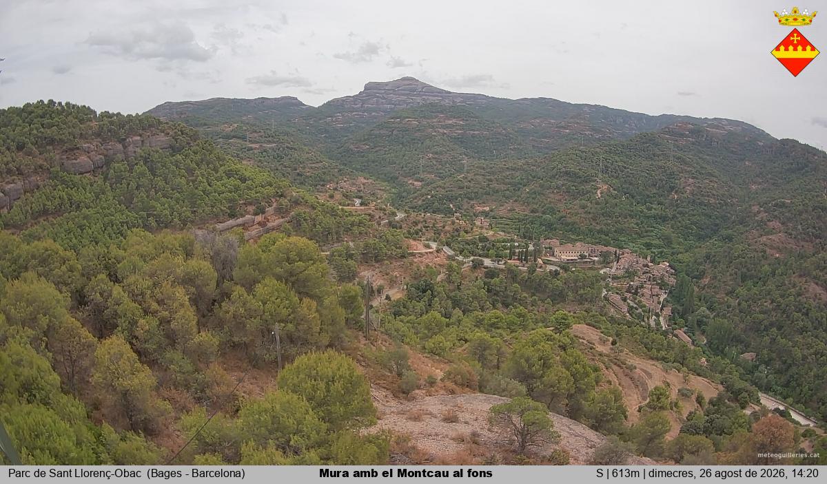 Mura amb el Montcau al fons