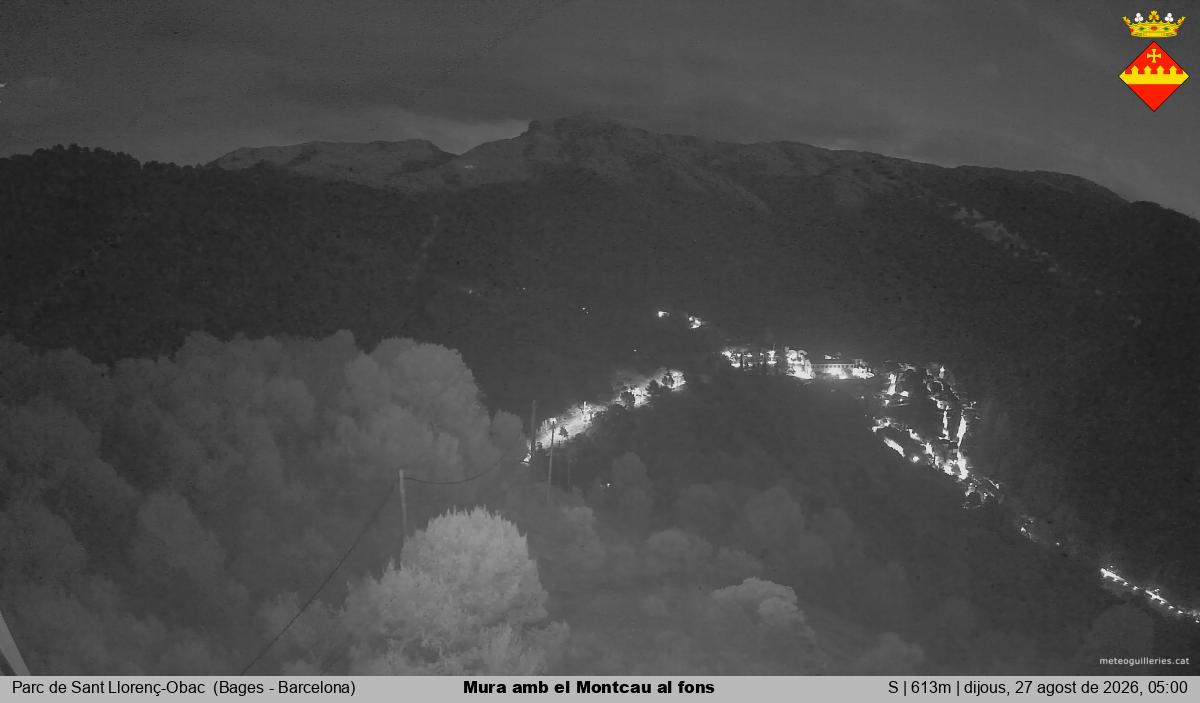 Mura amb el Montcau al fons