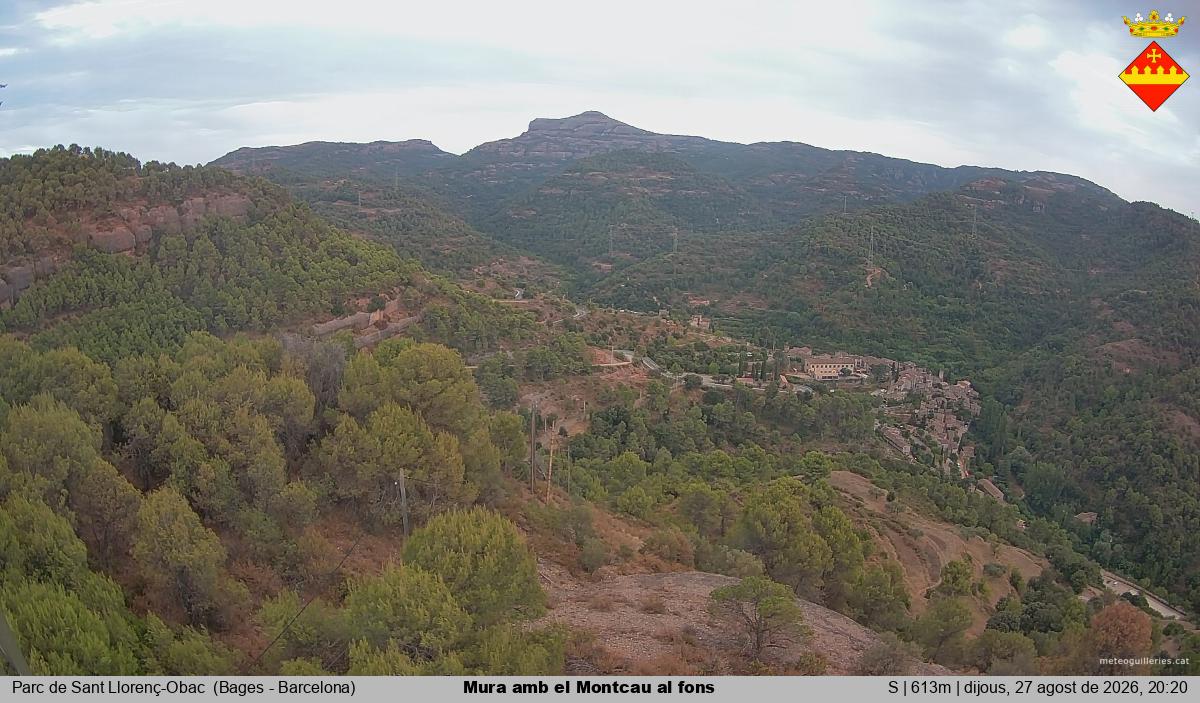 Mura amb el Montcau al fons