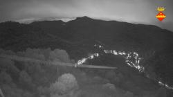 Webcams