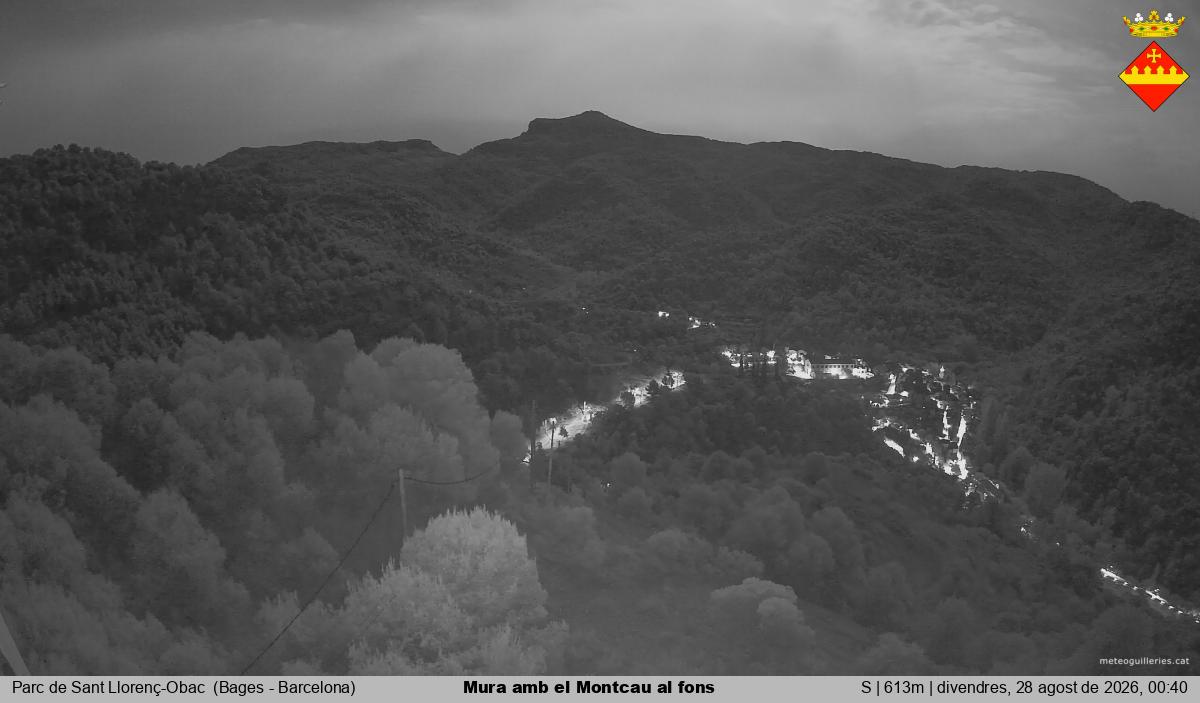 Mura amb el Montcau al fons