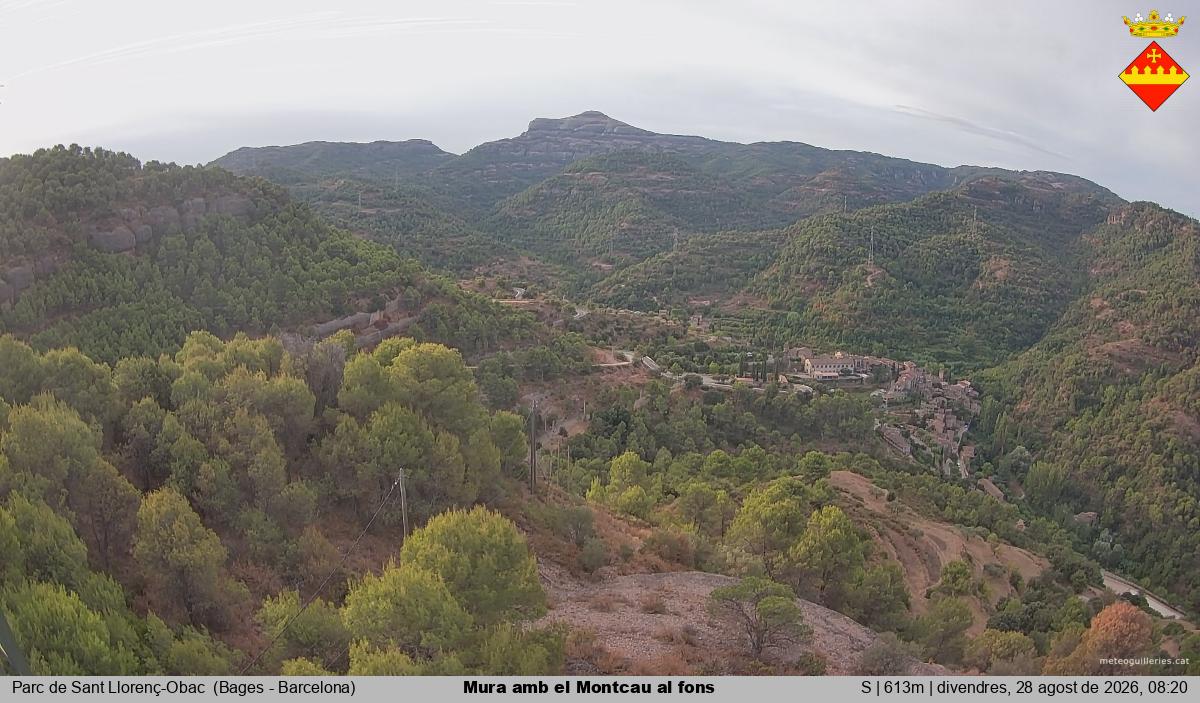 Mura amb el Montcau al fons