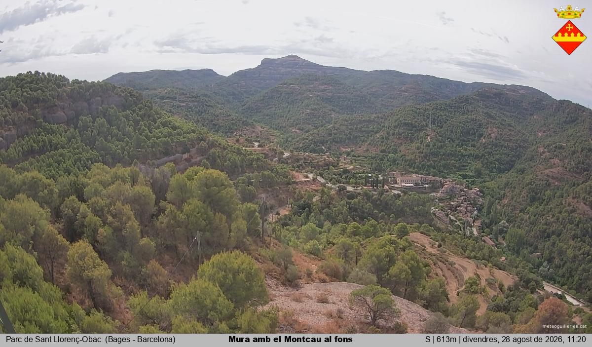 Mura amb el Montcau al fons