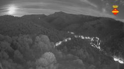 Webcams