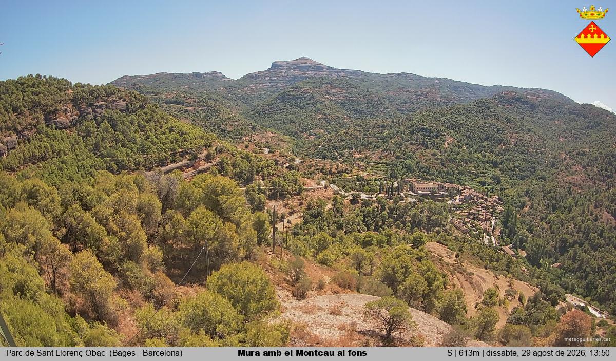 Mura amb el Montcau al fons
