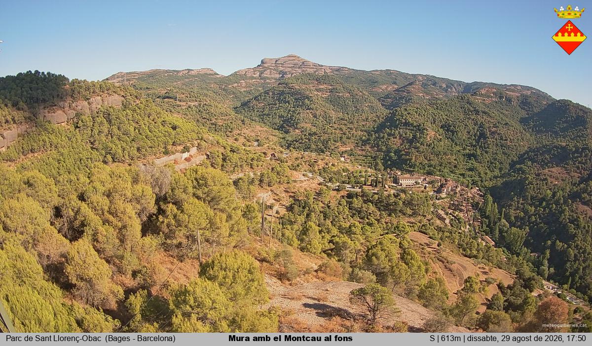 Mura amb el Montcau al fons