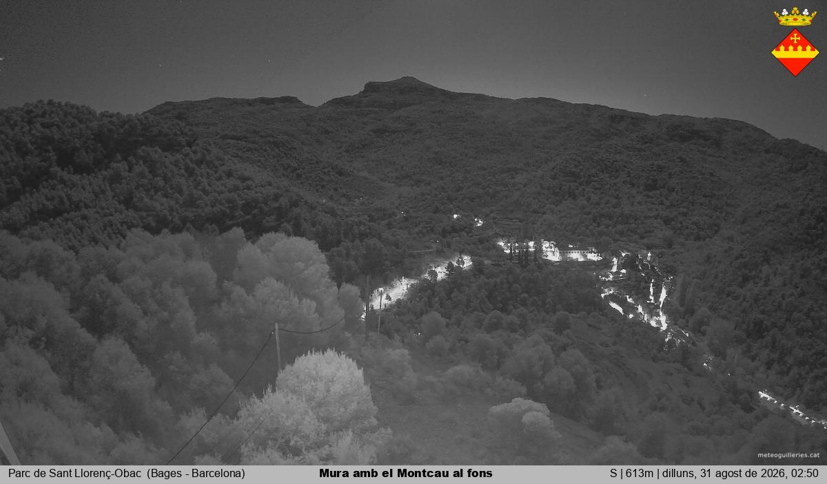 Mura amb el Montcau al fons