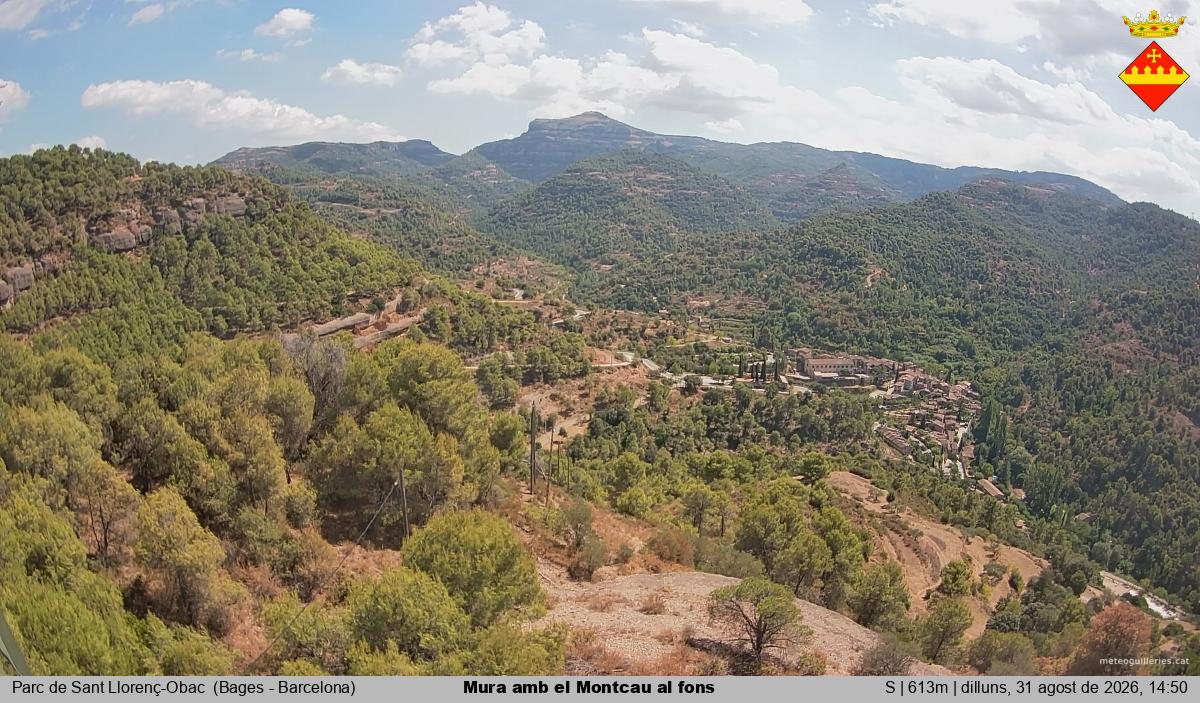 Mura amb el Montcau al fons