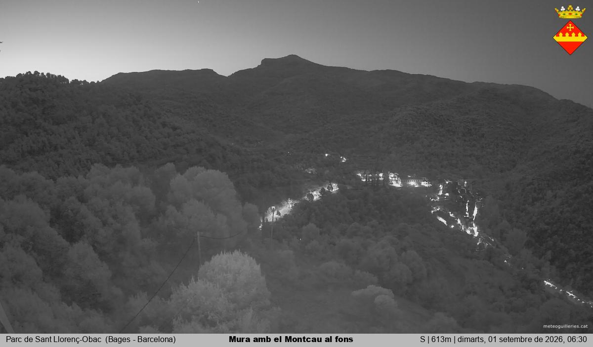 Mura amb el Montcau al fons