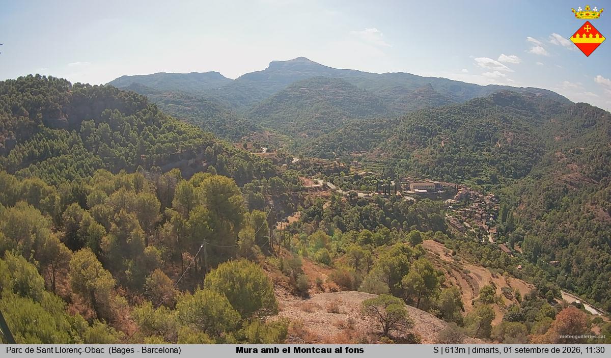 Mura amb el Montcau al fons