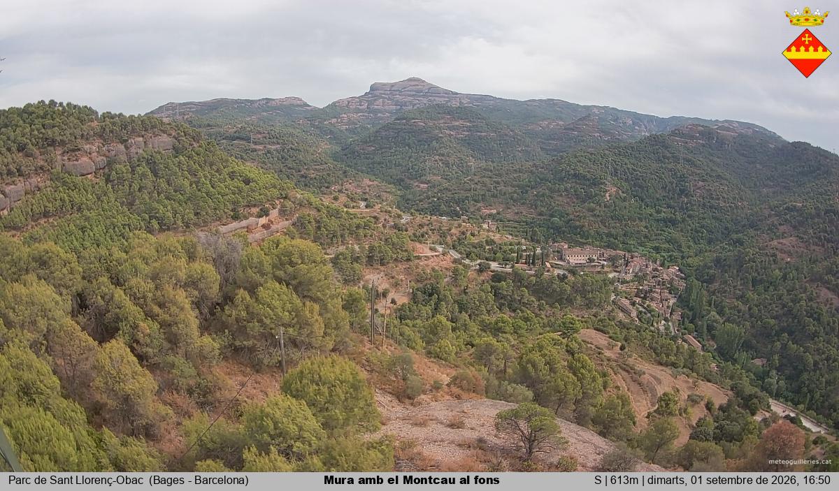 Mura amb el Montcau al fons