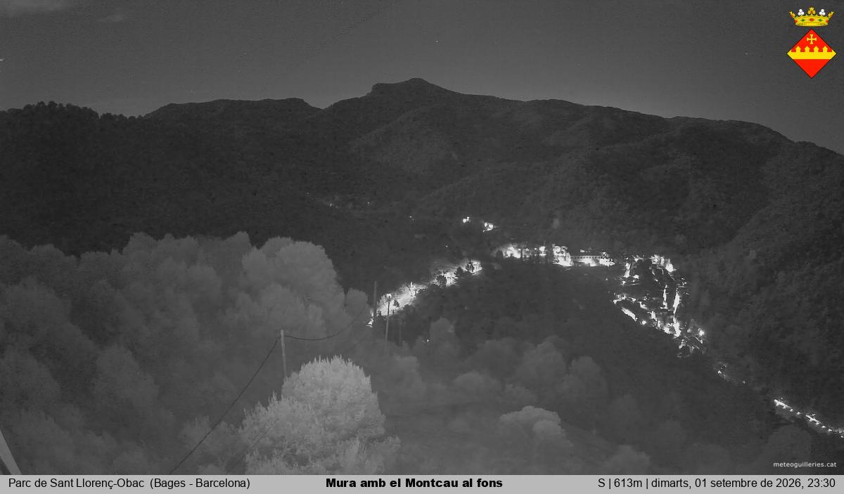 Mura amb el Montcau al fons