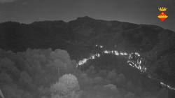 Webcams