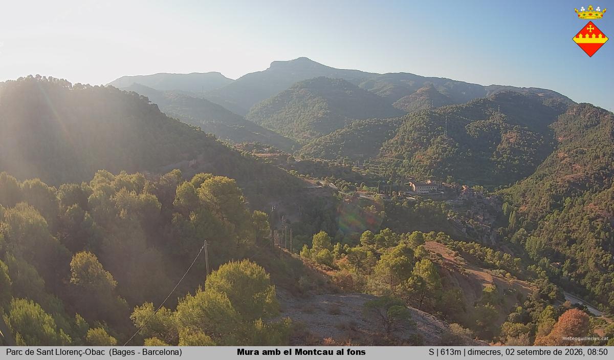 Mura amb el Montcau al fons