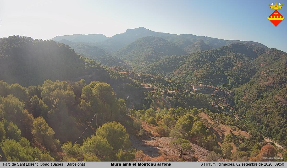 Mura amb el Montcau al fons