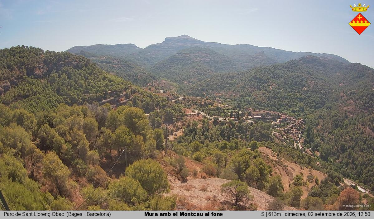 Mura amb el Montcau al fons