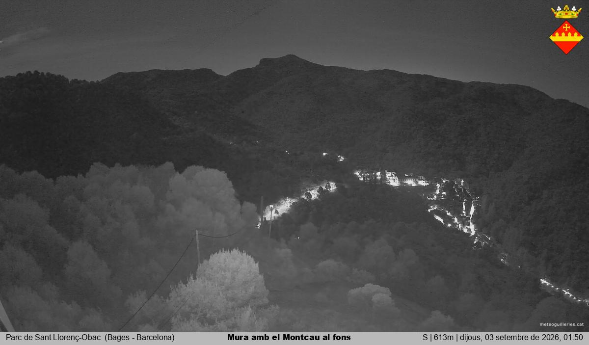 Mura amb el Montcau al fons