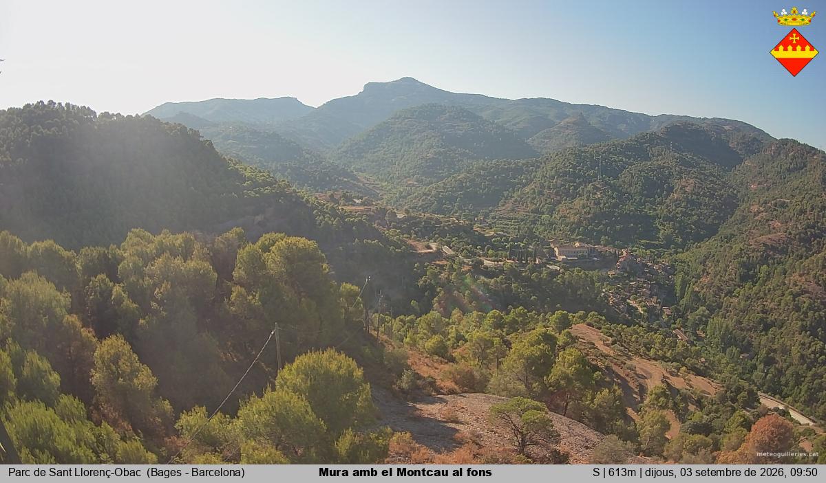 Mura amb el Montcau al fons