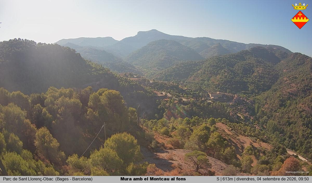 Mura amb el Montcau al fons
