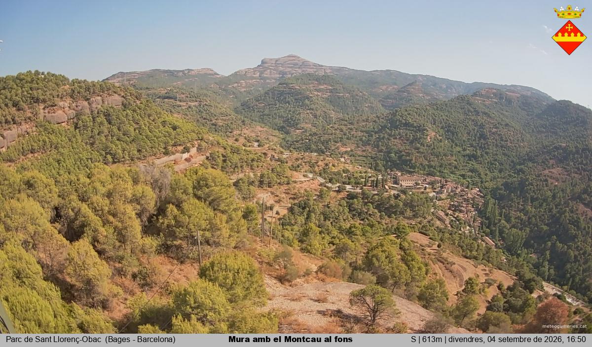 Mura amb el Montcau al fons