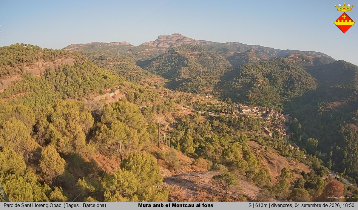 Mura amb el Montcau al fons