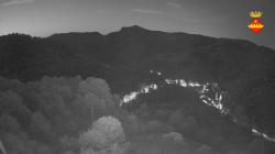 Webcams