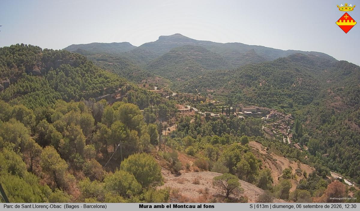 Mura amb el Montcau al fons