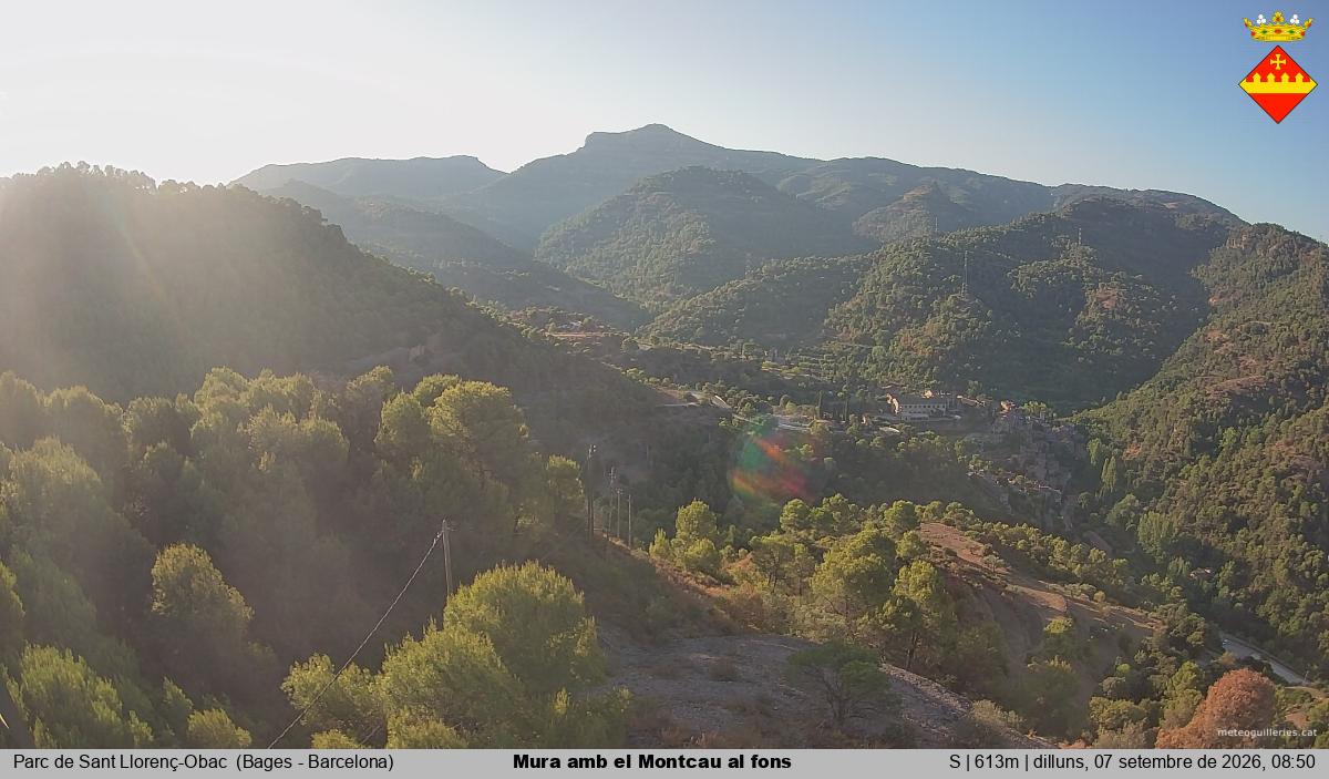 Mura amb el Montcau al fons