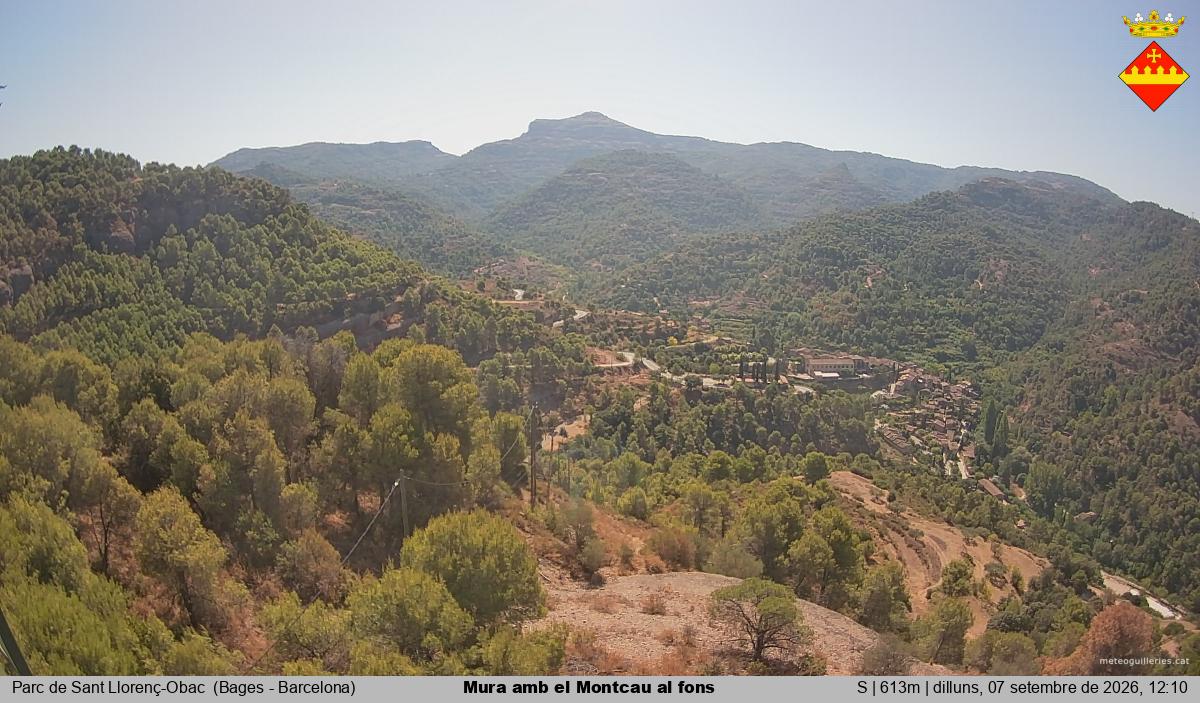 Mura amb el Montcau al fons